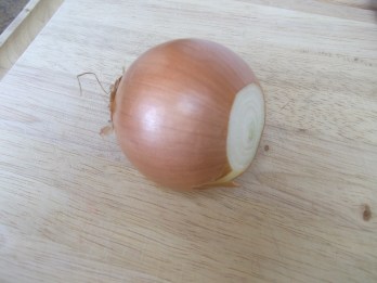 Onion - dicing 019