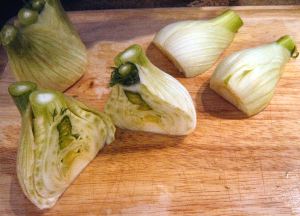 Fennel bulb 005