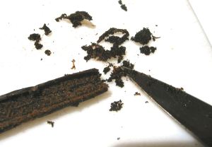Vanilla extract 008