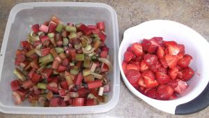 Strawberry Rhubarb Crisp 002