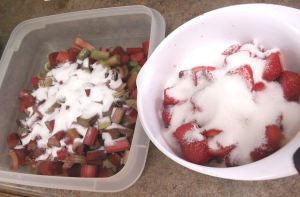 Strawberry Rhubarb Crisp 004