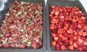 Strawberry Rhubarb Crisp 009