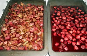 Strawberry Rhubarb Crisp 018