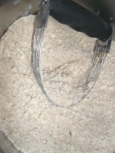 Strawberry Rhubarb Crisp 022