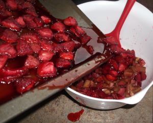 Strawberry Rhubarb Crisp 024