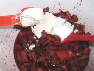 Strawberry Rhubarb Crisp 026