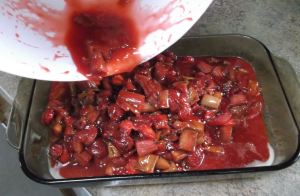 Strawberry Rhubarb Crisp 029