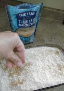 Strawberry Rhubarb Crisp 037