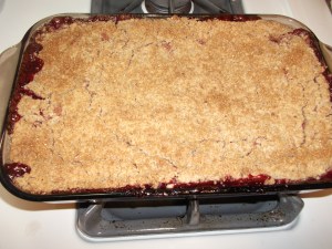 Strawberry Rhubarb Crisp 040