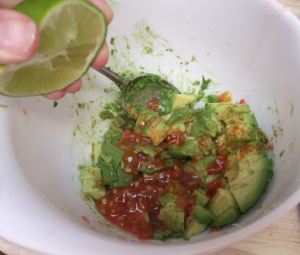 Guacamole 020